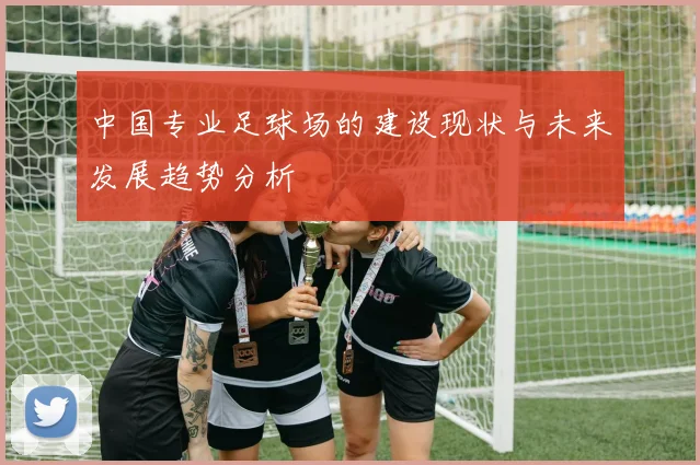 中国专业足球场的建设现状与未来发展趋势分析