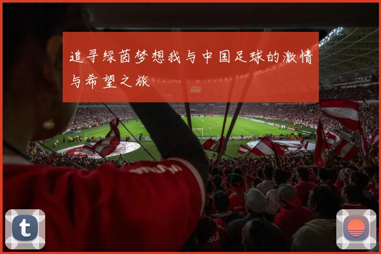 追寻绿茵梦想我与中国足球的激情与希望之旅