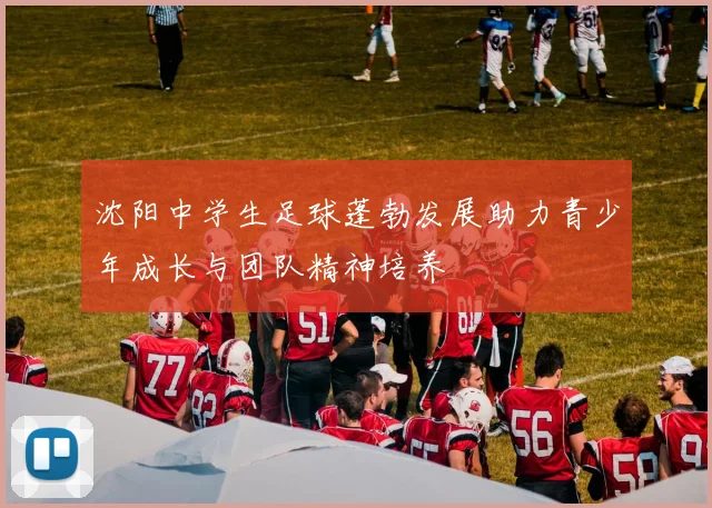沈阳中学生足球蓬勃发展助力青少年成长与团队精神培养