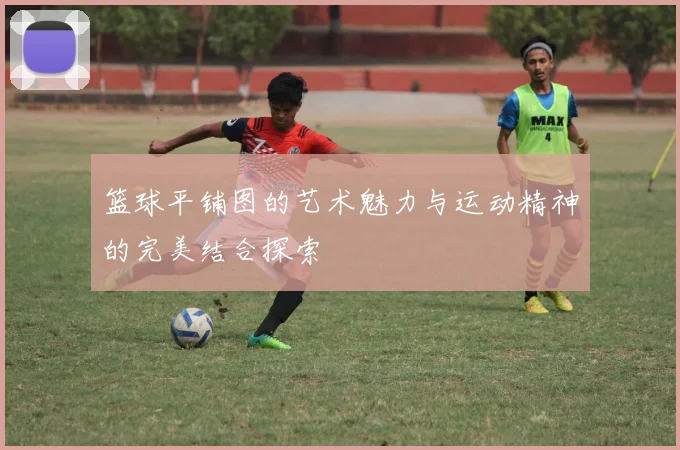 篮球平铺图的艺术魅力与运动精神的完美结合探索