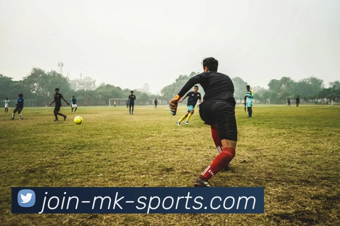 MK SPORTS中国官网平台生态图